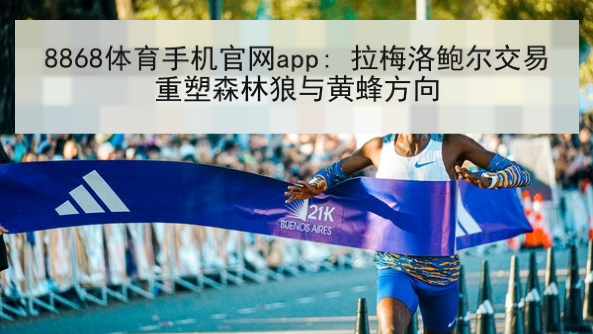 8868体育手机官网app: 拉梅洛鲍尔交易重塑森林狼与黄蜂方向