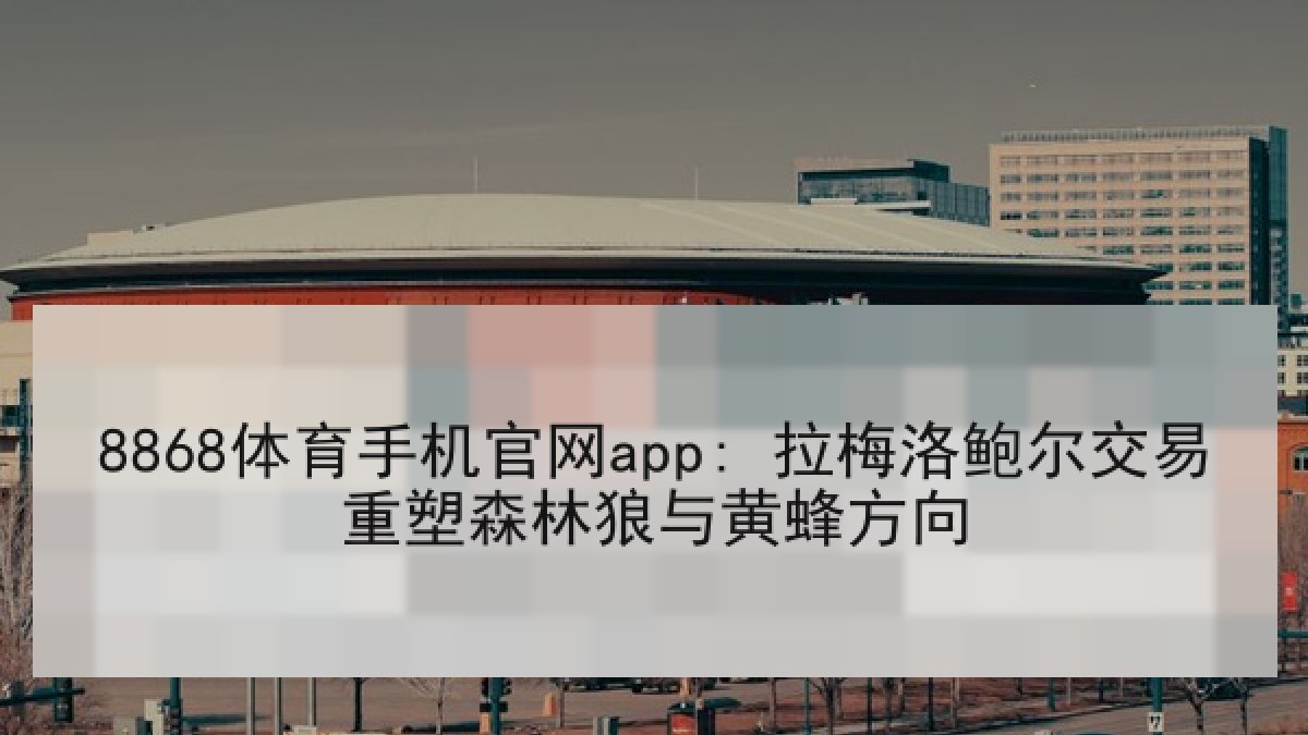 8868体育手机官网app: 拉梅洛鲍尔交易重塑森林狼与黄蜂方向