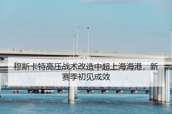 mu-si-ka-te-gao-ya-zhan-shu-gai-zao-zhong-chao-shang-hai-hai-gang-xin-sai-ji-chu-jian-cheng-xiao-2-774.jpg