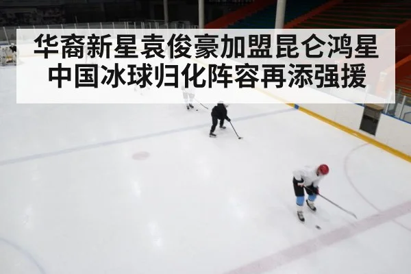 ice hockey rink